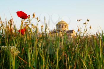 Temple and the poppy.