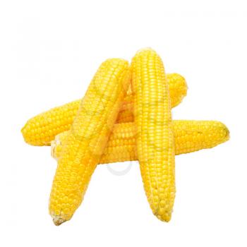 Yellow young corns isolated on white.