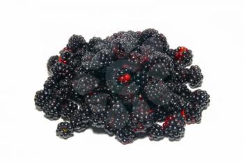 Pile of fresh blackberries isolated on white.