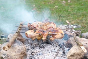 Appetizing grilled chiken kebab on metal skewers