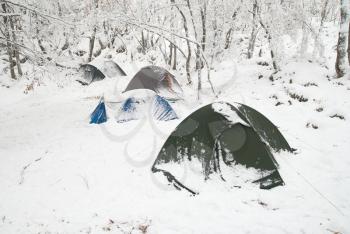 Winter tent camp in the snow forest