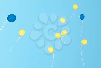 Colored balloons on the blue sky background