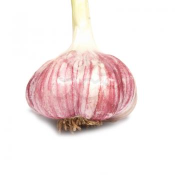 Garlic clove isolated on the white background