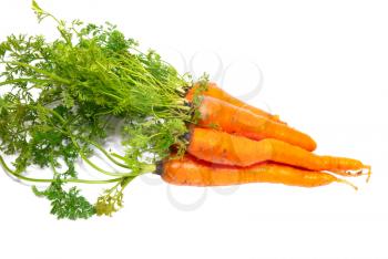 Carrots isolated on white.