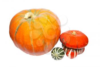 Three colored pumpkins isolated on white.