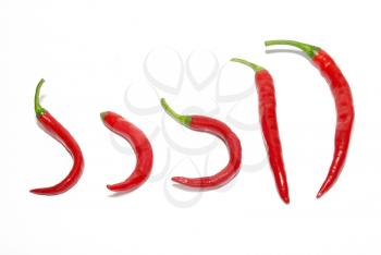 Row of red hot chili peppers isolated on white