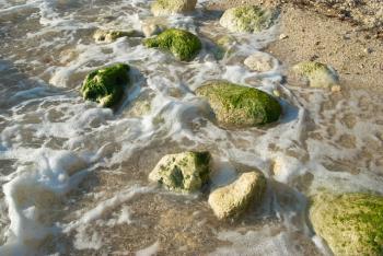 Sea foam with stones on the tropical sand beach
