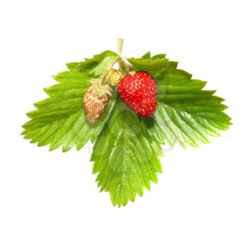 Strawberry with green leaf isolated on white