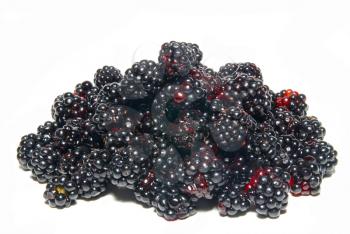 Pile of fresh blackberries isolated on white.