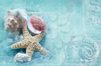 Blue ornamental grunge background with marine shells. Horizontal template with seashells, starfish, snail with place for your text. Design for invitation, card, poster, flyer, gift certificate.
