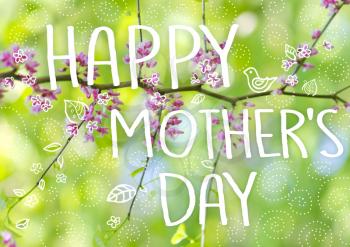 Mother's day greeting concept. Beautiful flowers on a tree branch. Spring Background. Blossom tree.