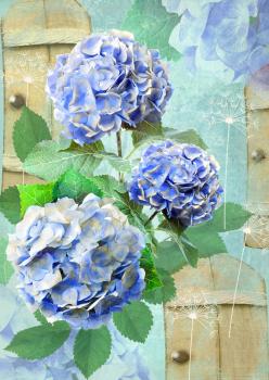 Floral postcard. Can be used for greeting or invitation card, mothers day, valentines day, birthday cards, gift warp. Hydrangea flowers.