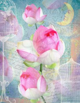 Postcard flower. Congratulations card with peonies, cells and moon. Beautiful pink flower. Can be used as greeting card, invitation for wedding, birthday and other holiday happening. Blue background.