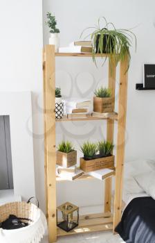 Wooden shelving with plants, books and accessories in the room.