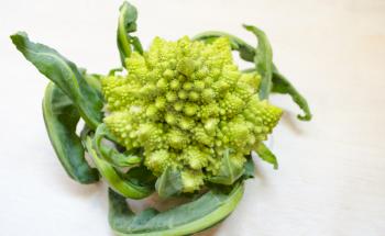 Brassica oleracea. Romanesco cabbage isolated on white background.