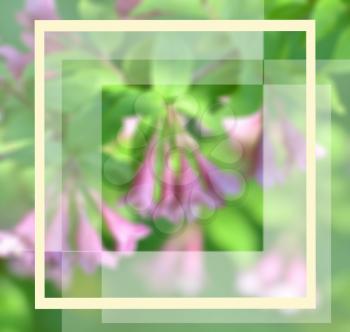 Square frame with wildflowers with place for text. Greeting card. Can be used as a brochure, flyer, invitation, wedding card, birthday and other holiday. Floral design. Frame design. Defocusing image.