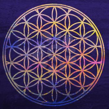 Flower of life. Sacred geometry. Lotus flower. Mandala ornament. Esoteric or spiritual symbol. Buddhism chakra. Geomtrical figure, composed of overlapping circles. Decorative motif since ancient times