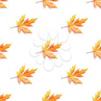Autumn maple leaves on a white background. Watercolor picture. Textile fabric print. Wrapping paper. Sealmess pattern.