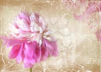 Art floral grunge background. Beautiful pink peony flower with copy space. Can be used as greeting card, invitation for wedding, birthday and other holiday happening.