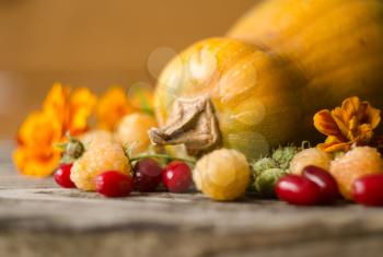 Colorful autumn decoration of pumpkins, yellow raspberries, dogwood and marigold. Thanksgiving day autumnal still life. Autumn nature harvest decoration.