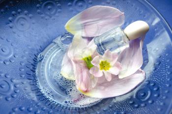 Close up of primrose flowers and petals floating in bowl of water with bottle of perfume. Spa theme.