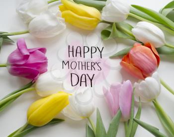 Mother's day greeting concept. Beautiful blossoming tulip flower. Floral design. Nature background. Spring background with beautiful fresh flowers.