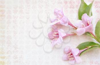 Light patterned textured background with pink flowers on a tree branch. May be used for a graphic art, as a greeting or gift layout, wallpaper, web template. Fresh gentle template.