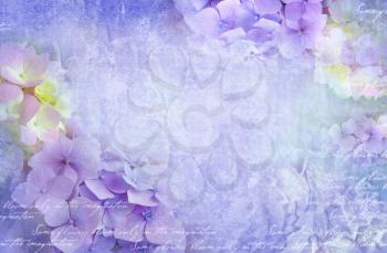 Floral postcard. Can be used as greeting card, invitation for wedding, birthday and other holiday happening. Hydrangea flowers. Art floral grunge background. Beautiful hydrangea with copy space.