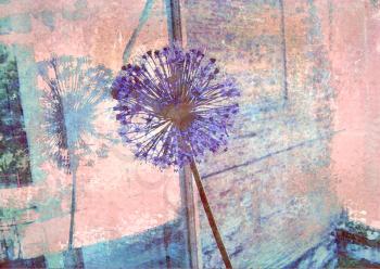 Blue allium flower reflected in a window pane. Floral background. Old texture. Image for the interior, as part of wall decorations.