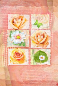 Congratulations card with pictures of flowers on separate plots and hand written text on abstract apricot background. Can be used as greeting card, invitation for wedding, birthday and other holiday.