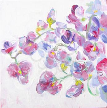 Beautiful spring pink flowers, watercolor illustration. Floral background. Sweet pea flowers brunches. Still-life painting.