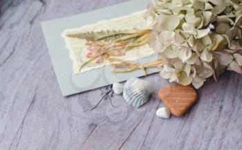 Composition from a card with a herbarium, shells, cotton lace and dry flowers.