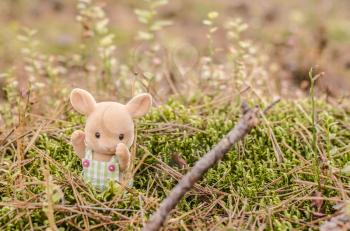 Cute toy bunny in the grass in the woods. Autumn photo