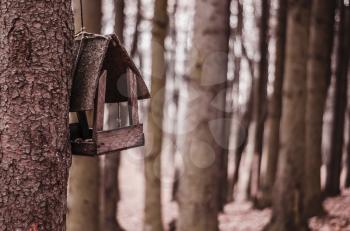 A wooden feeder on the background of a blurred forest. A seasonal photo.
