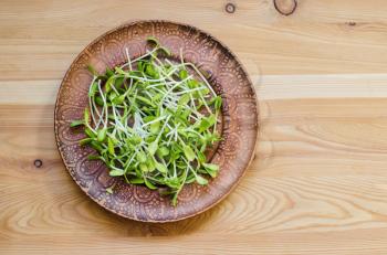 Sunflower seedlings on a clay plate on a wooden background. Organic microgreens.