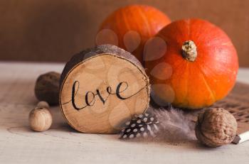 Composition with pumpkin, feather,walnuts, wood items. Autumn Seasonal Photo for Thanksgiving Day, Halloween