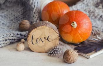 Composition with pumpkin, walnuts, feather ,wood and knitted items. Autumn Seasonal Photo for Thanksgiving Day, Halloween
