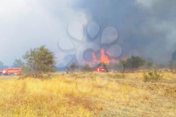 Steppe fire. Burning dry grass, fire and smoke