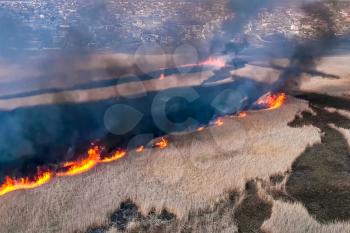 Steppe fire. Burning dry grass, fire and smoke