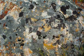 Multicolored red brown black silver grey rock stone moss texture background. Colorful rock texture