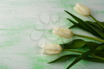 Fresh white and purple tulips background. Flower frame. Flower background. Flower bouquet. Greeting card. Mothers day. Place for text. Copy space