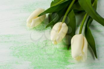 Fresh white and purple tulips. Flower frame. Flower background. Flower bouquet. Greeting card. Mothers day. Place for text. Copy space