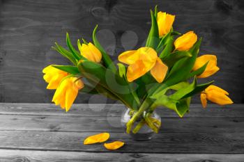 Yellow tulips bouquet. Vintage toned photo. Spring flowers. Flowers postcard. Flowers greeting