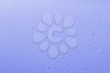 Lilac water drops texture. Water drop background