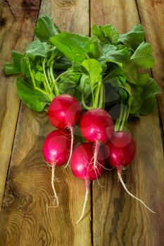 Large bunch of fresh radish on old dark boards, close up, vertical