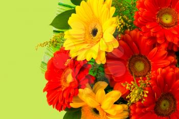 Red and yellow daisy bouquet on green background. Greeting background. Flowers greeting card. Greeting card. Happy Mother's Day. Mothers Day. Flower greeting. Flower bouquet background. Copy space