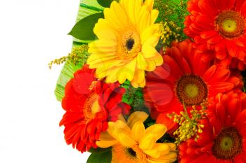 Red and yellow daisy flower bouquet isolated. Greeting background. Flowers greeting card. Greeting card. Happy Mother's Day. Mothers Day. Flower greeting. Flower bouquet background. Copy space