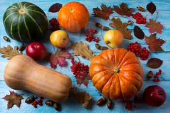 Autumn seasonal vegetables and fruits on the blue wooden background. Thanksgiving background with pumpkins, berries and apples.  