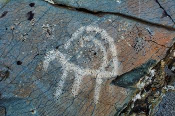 Prehistorical petroglyphs carved in rocks. Stones with petroglyphs in the Chuya Steppe, Kuray steppe in the Siberian Altai Mountains, Russia
