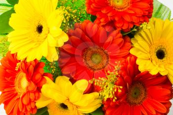 Yellow and red gerbera bouquet background. Greeting background. Flowers greeting card. Greeting card. Happy Mother's Day. Mothers Day. Flower greeting. Flower bouquet background